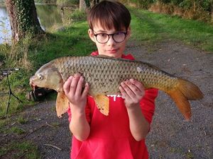 Common Carp