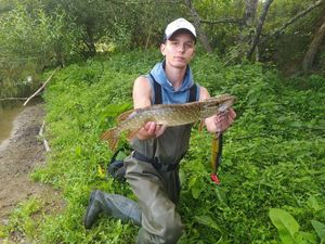 Northern Pike