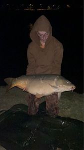Grass Carp