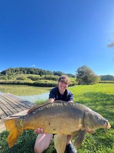 Common Carp