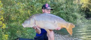 Mirror Carp