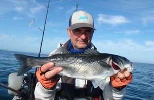 European Bass (Seabass)