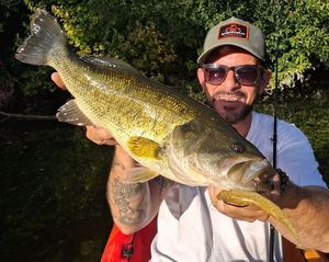 Largemouth Bass