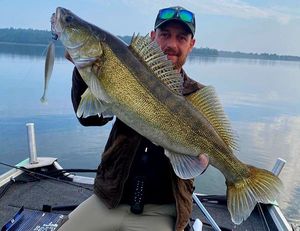 Zander