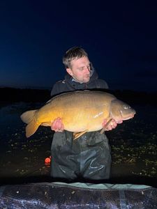 Mirror Carp