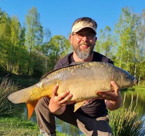 Mirror Carp