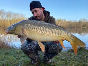 Mirror Carp
