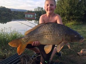 Common Carp