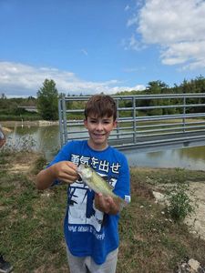 Largemouth Bass