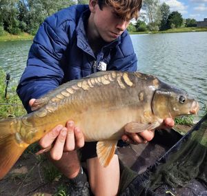 Mirror Carp