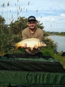 Common Carp
