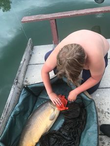 Leather Carp