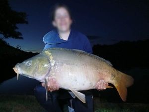 Mirror Carp