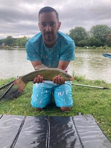 Tench