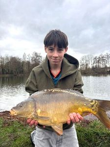 Mirror Carp