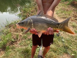 Leather Carp