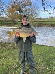 Mirror Carp