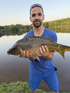Leather Carp