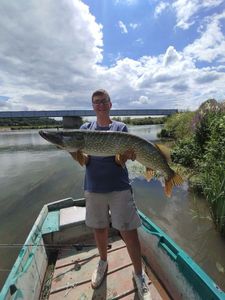 Northern Pike