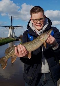 Northern Pike