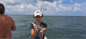 European Bass (Seabass)