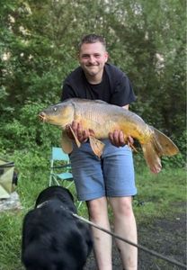 Mirror Carp