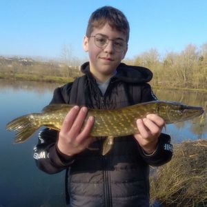Northern Pike