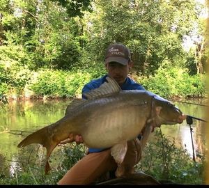 Mirror Carp