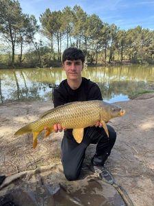 Mirror Carp
