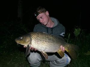 Common Carp