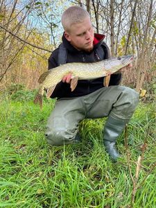 Northern Pike