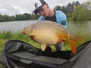 Mirror Carp