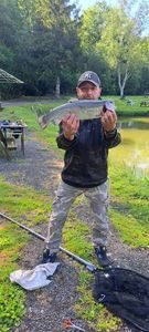 Rainbow Trout