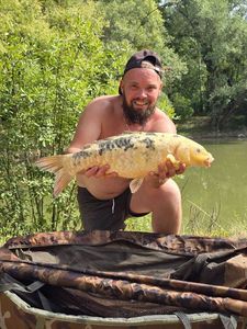 Koï Fish