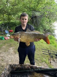 Common Carp