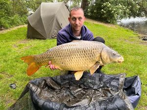 Common Carp