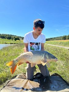 Mirror Carp