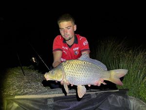 Common Carp