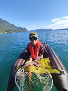 European Whitefish
