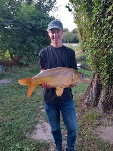 Mirror Carp