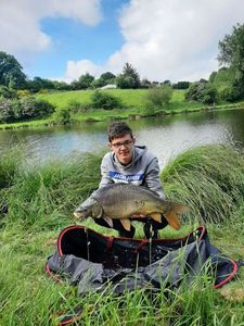 Mirror Carp