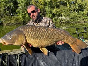 Common Carp