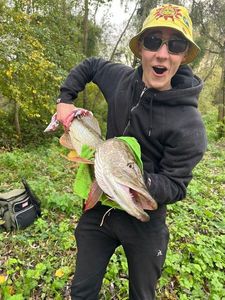 Northern Pike