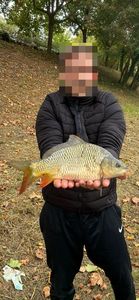 Laimikio nuotrauka
