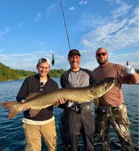 Muskellunge (Musky)