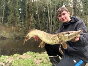 Northern Pike