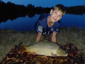 Mirror Carp
