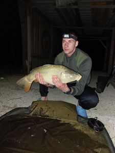 Mirror Carp