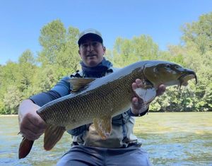 Barbel
