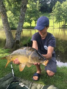 Mirror Carp